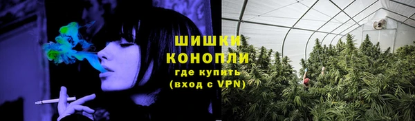 сатива Нязепетровск