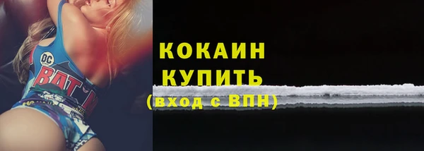 винт Няндома