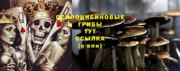 винт Няндома