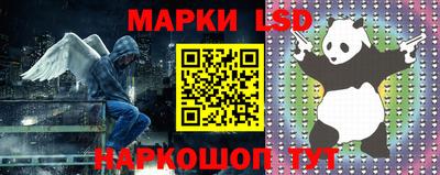 spice Балахна