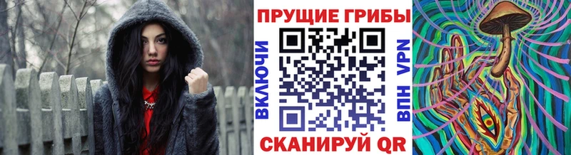 Псилоцибиновые грибы мицелий  Пятигорск 