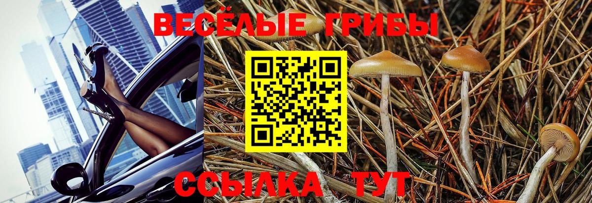 Псилоцибиновые грибы MAGIC MUSHROOMS Пятигорск