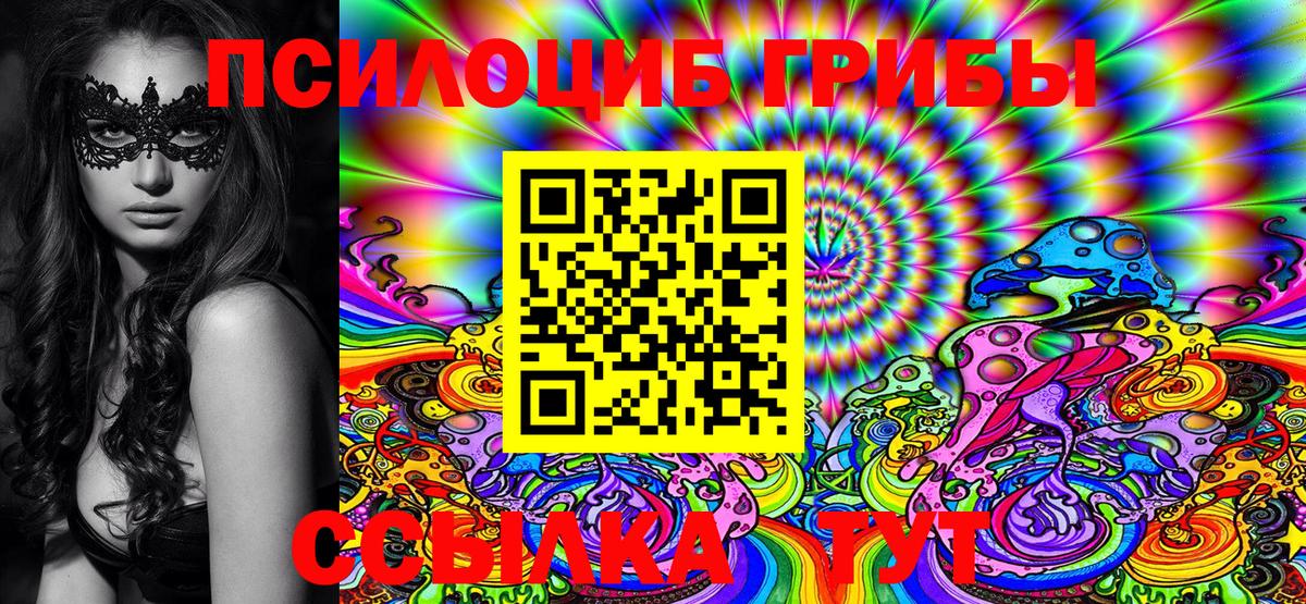 Галлюциногенные грибы Cubensis Пятигорск