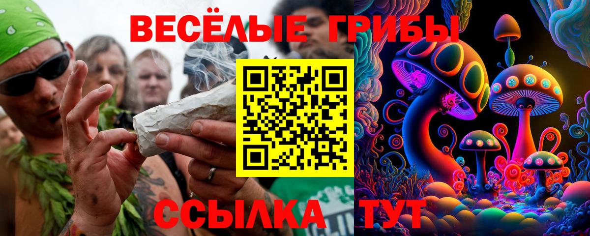 Пятигорск  Галлюциногенные грибы Magic Shrooms  Вход с VPN 