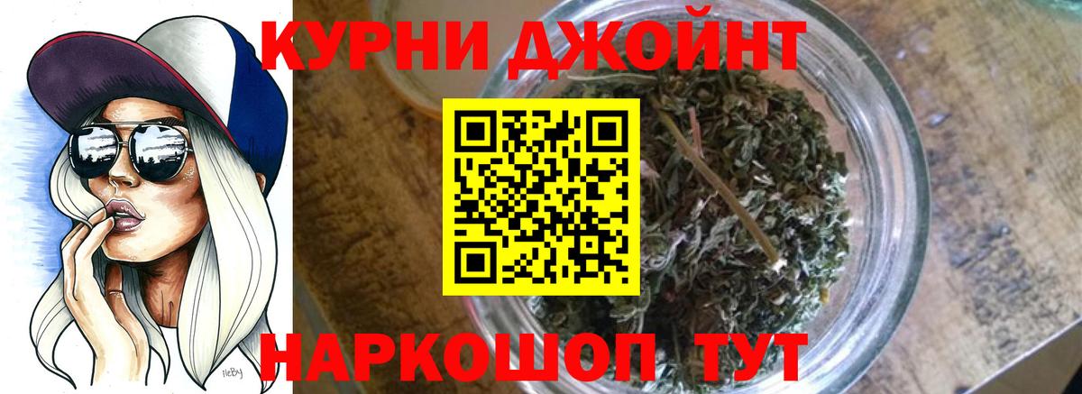 Марихуана сатива Пятигорск