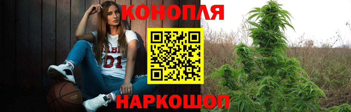 Бошки Шишки Ganja  Бошки марихуана семена  Бошки Шишки конопля  Пятигорск 